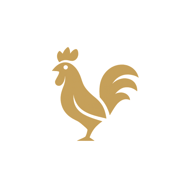 Rajari Apparel